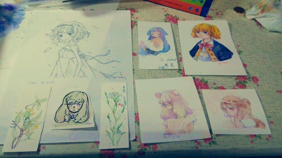 紫菜收到的签绘